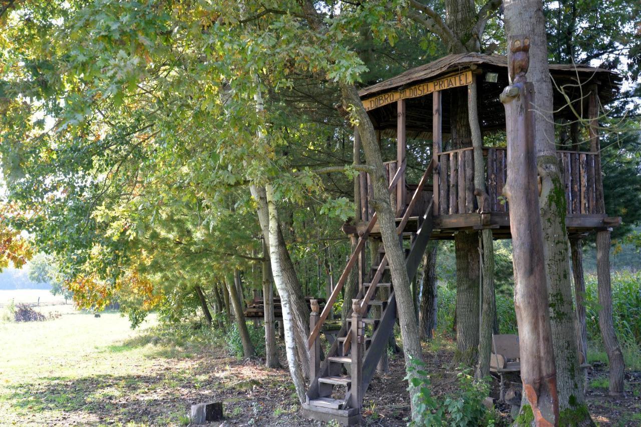 הוילה Marusevec Old Oak House With Pool מראה חיצוני תמונה