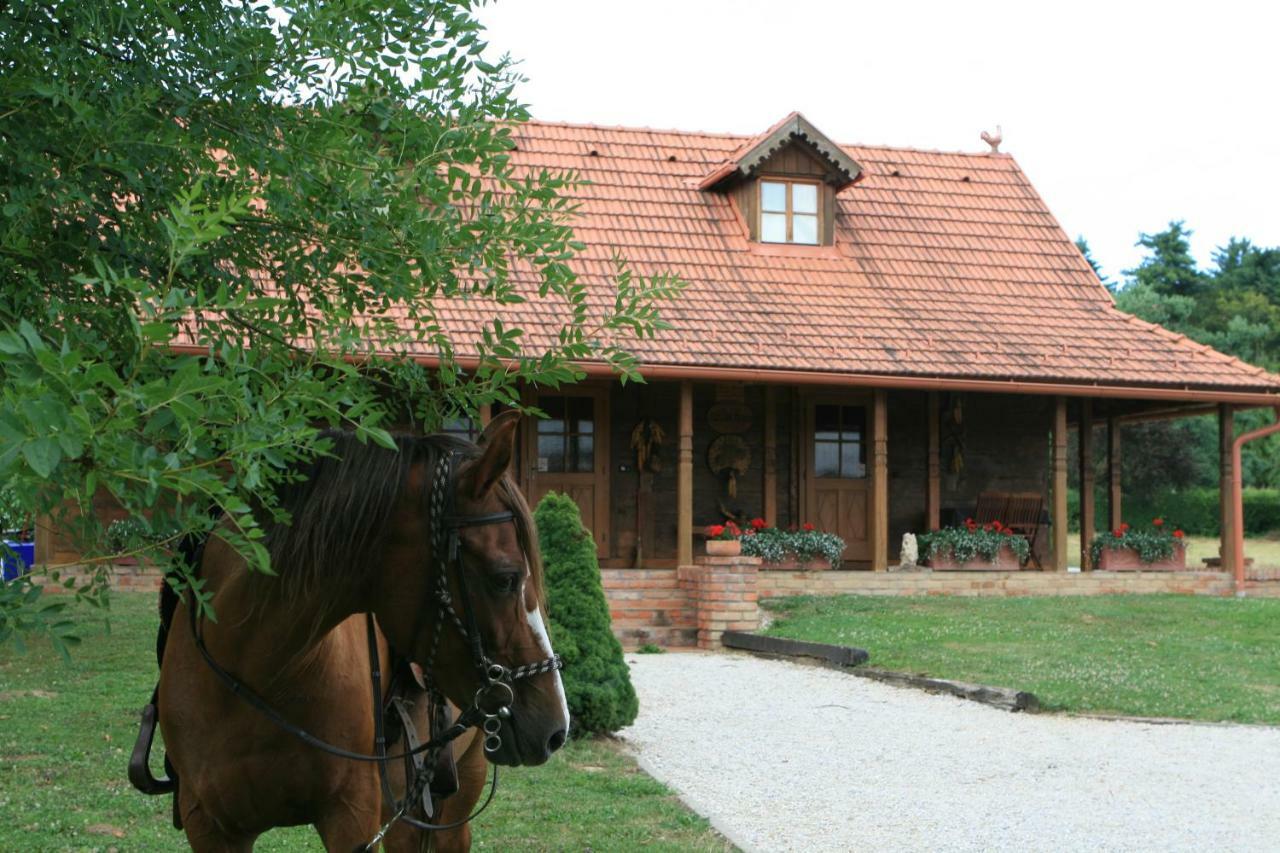 הוילה Marusevec Old Oak House With Pool מראה חיצוני תמונה